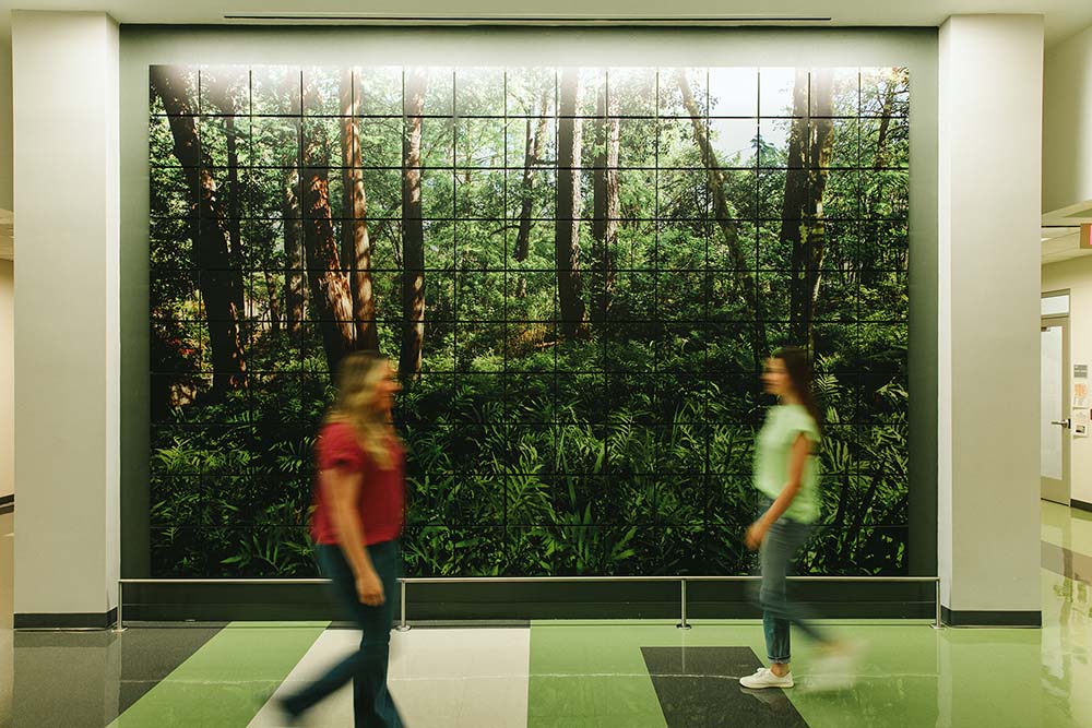 360 Degree Panoramic Campus Tour