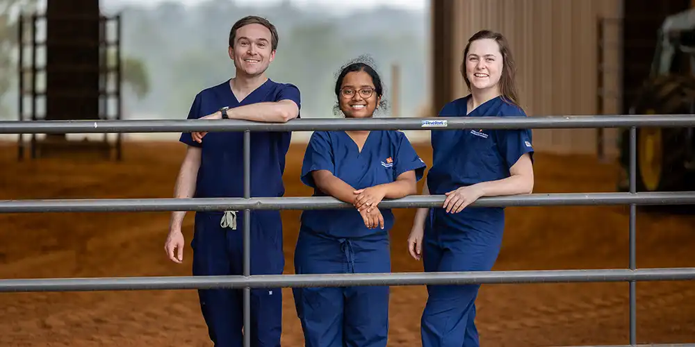 Three SHSU-COM student doctors in navy scrubs stand and smile near a livestock pen.