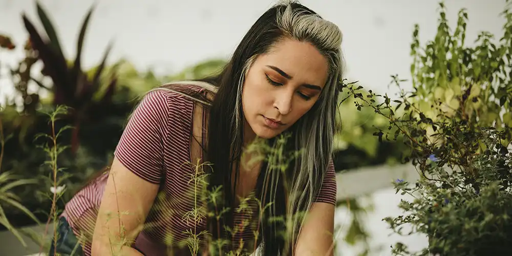 Student working in a Greenhouse.