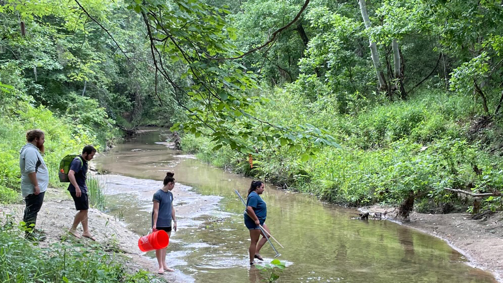 Students doing field work in a creek