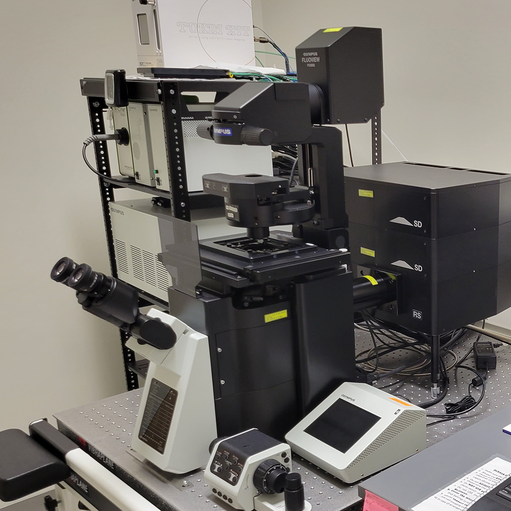 A laser scanning Microscope