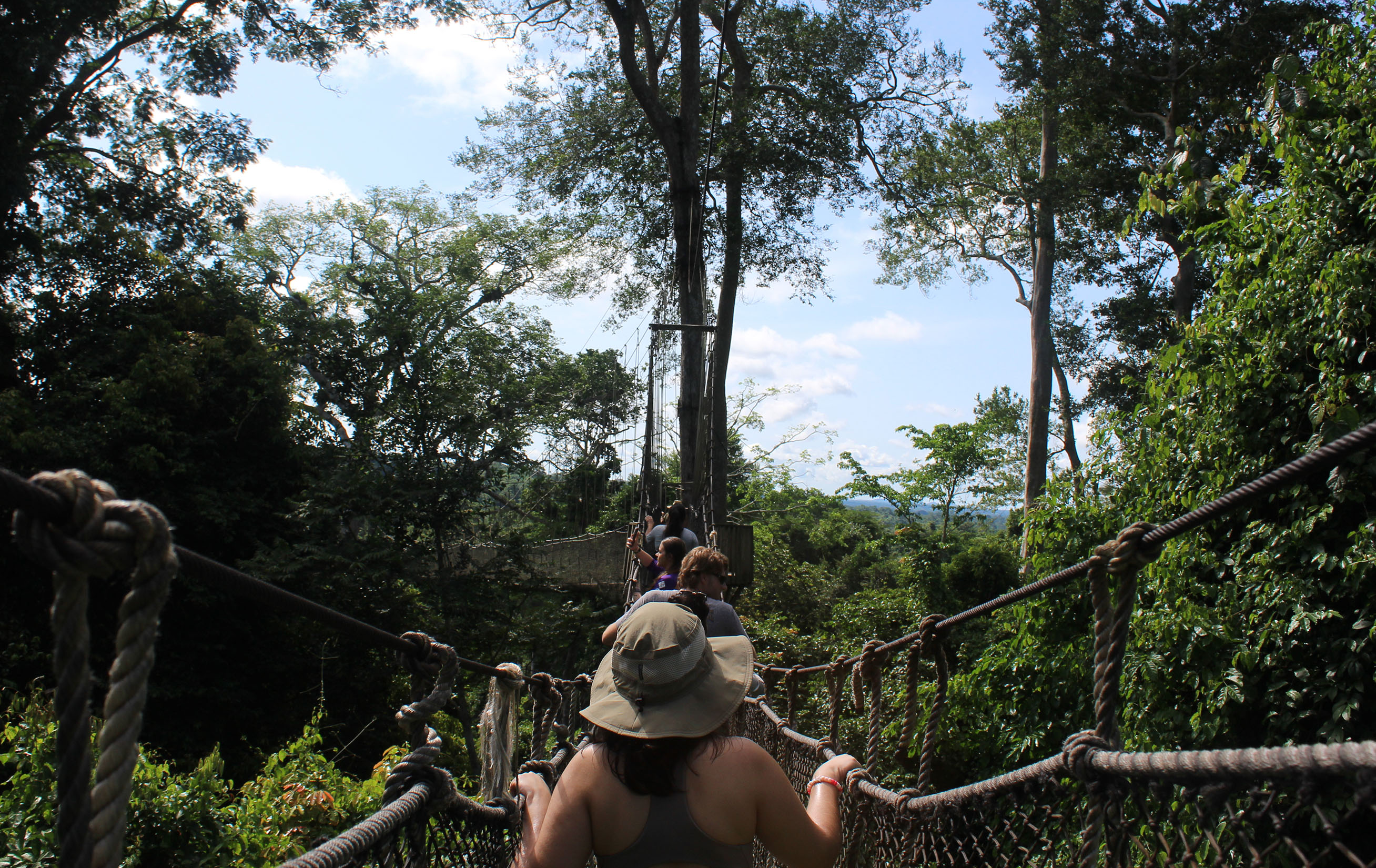 The Honors College celebrates the success of current students and alumni in The Dialogue. 