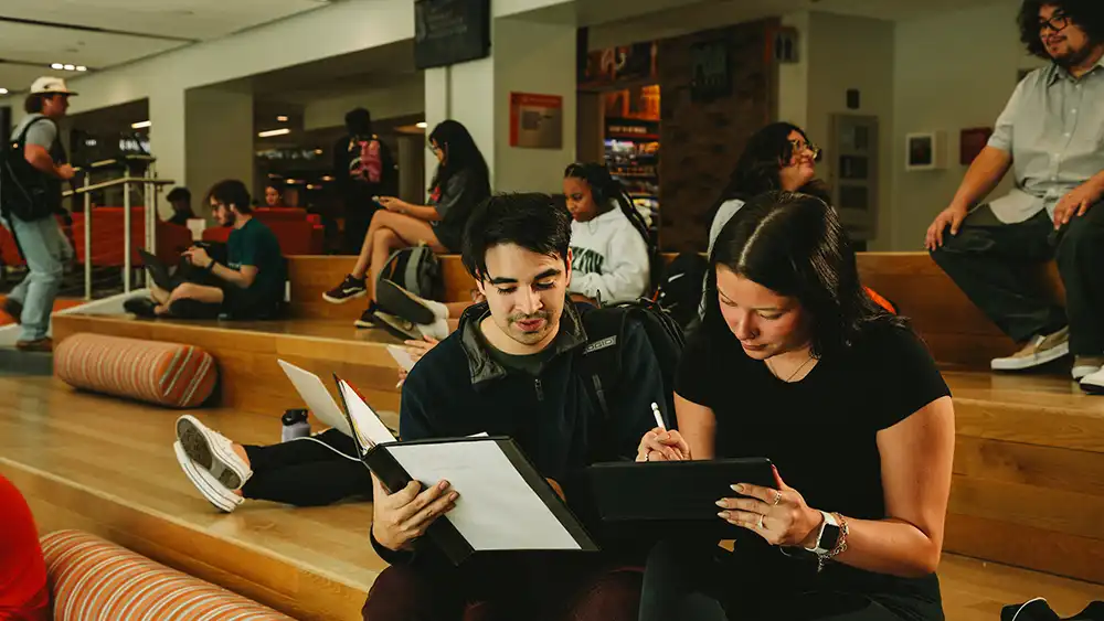 Two students studying. 