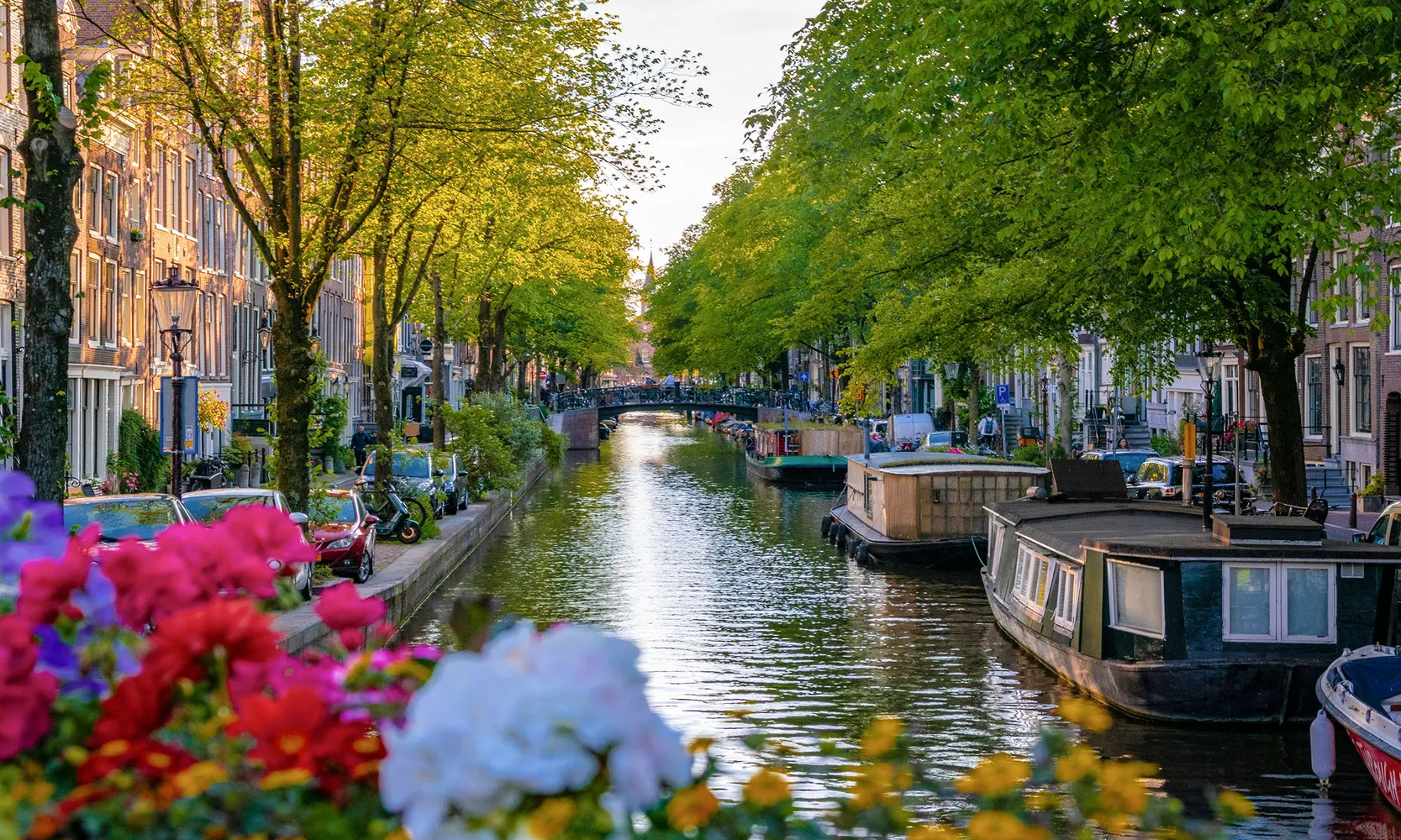 An evening view of the Vienna Christmas Market in Austria