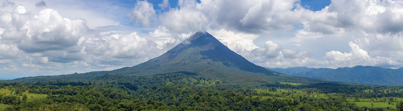 An evening view of the Vienna Christmas Market in Austria