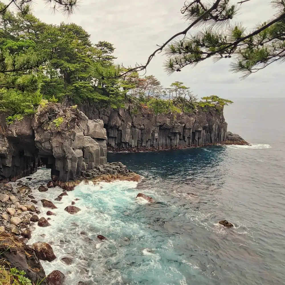 SHSU student Solar Reyes in Japan with Dr. Frank’s Faculty Led trip 2024.