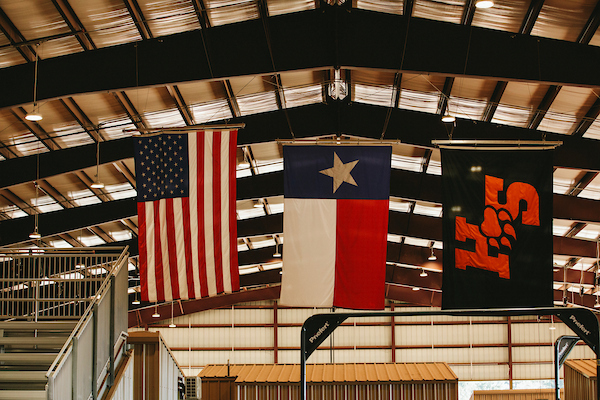 ​​Austin Hall at sunset illuminating behind statue of Sam Houston.​ 