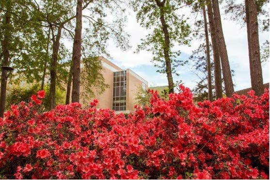 The Smith-Hutson building framed by blooming red azaleas and green trees on a bright spring day.