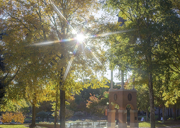 Sun shining through the trees on the campus of Sam Houston State University
