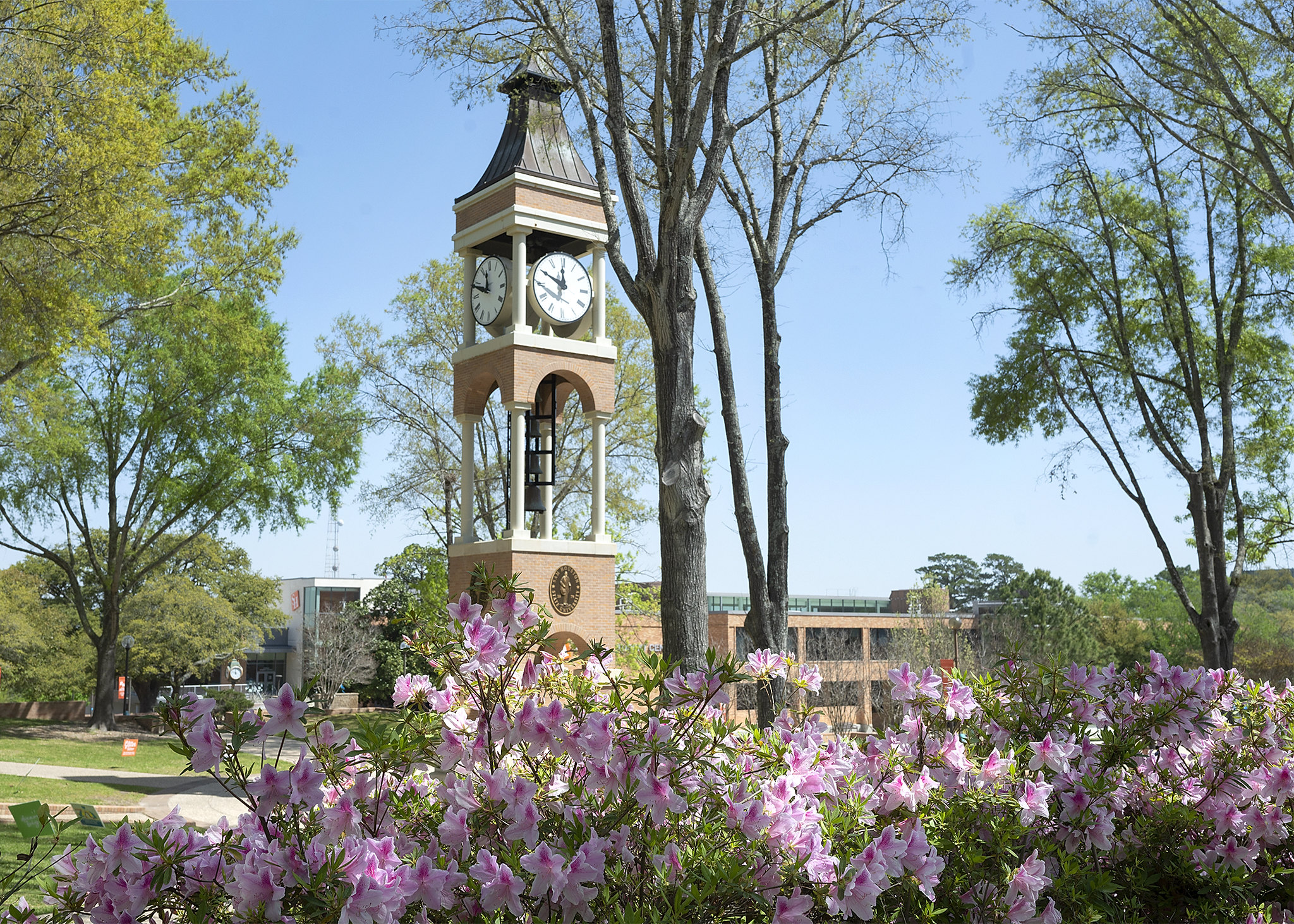 Sam Houston State University’s bell tower stands tall in the background on a sunny day, with vibrant spring flowers in the foreground. 